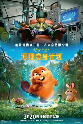 亚洲之子赚钱攻略