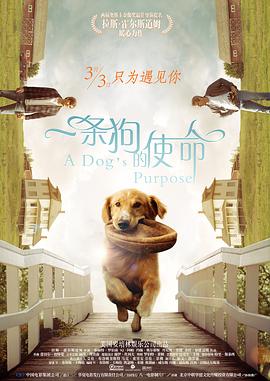 动漫美女被狂揉大胸图片