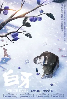 国内外精品免费视频