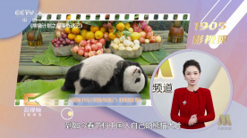 国产精品亚洲综合色区韩国